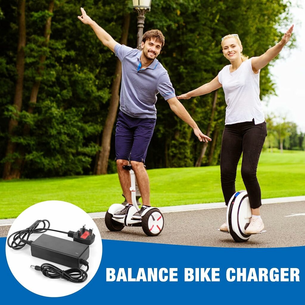 42V 2A Electric Scooter Charger, Mobility Scooter Battery Charger, Lithium Battery Charger Ebike Battery Charger for Li-ion Battery, Electric Bike Charger for M365, E Scooter Charger (6 Plugs)