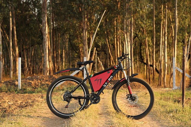 Whats The Difference Between A 250W And A 500W EBike?